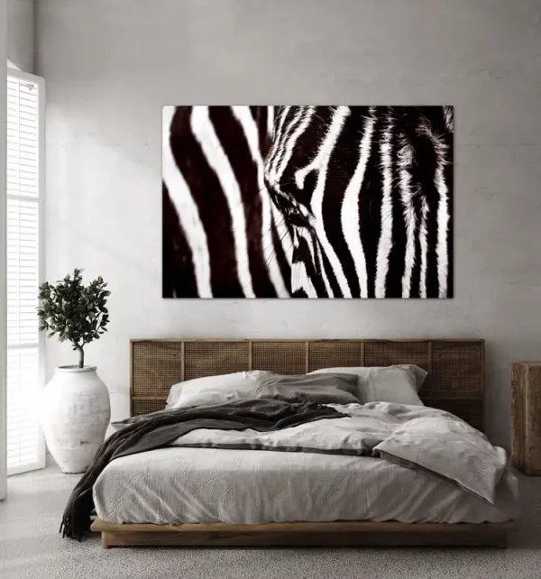 kunstwerk fotografie schwarz weiss zebra sascha dahl koeln 1